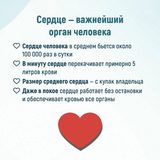 Srl01DwRyhMh72bp0ea4CtJRtcyYBm93HVoVNHG9MJ_nMJA42IMahFUNFc0v3bPC_ZskOcTck7x3CvogAmdxHAWBH6JVOw